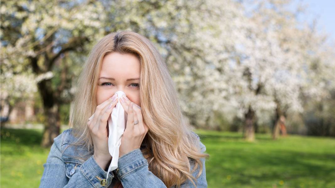 Peludne alergije – kako ih se riješiti?